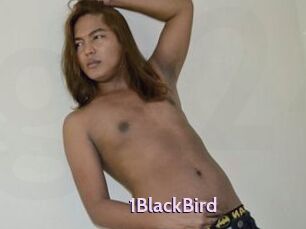 1BlackBird