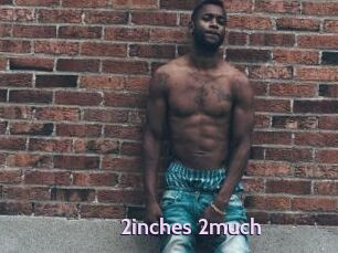 2inches_2much