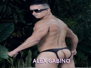 ALEX_GABINO