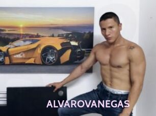 ALVAROVANEGAS