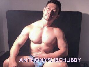 ANTHONYSUBCHUBBY