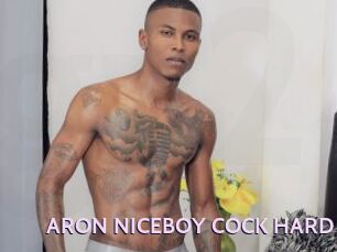 ARON_NICEBOY_COCK_HARD