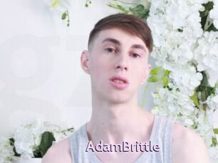 AdamBrittle