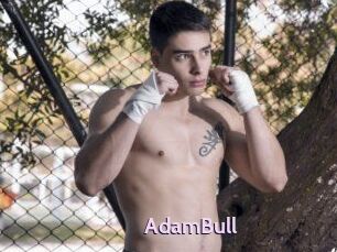 AdamBull