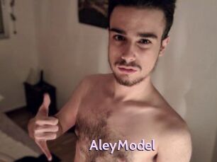 AleyModel