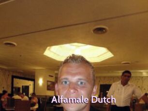 Alfamale_Dutch