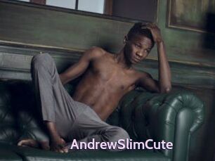 AndrewSlimCute