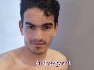 Andrewgosht