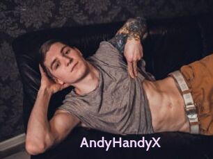 AndyHandyX