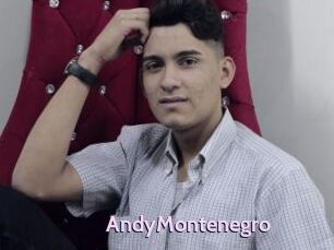 AndyMontenegro