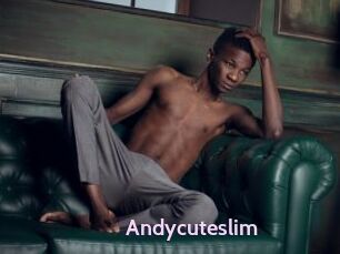 Andycuteslim