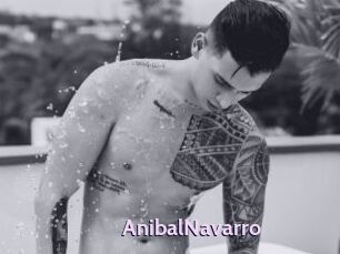 AnibalNavarro
