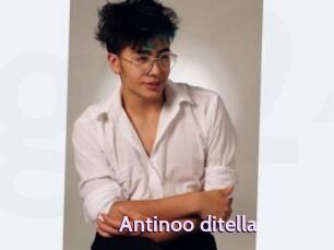 Antinoo_ditella