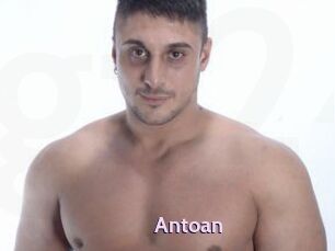 Antoan