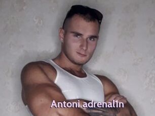 Antoni_adrenal1n
