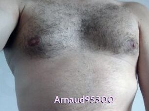 Arnaud95300