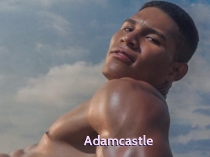 adamcastle Gay Zone 24