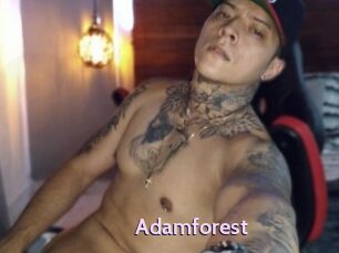 Adamforest