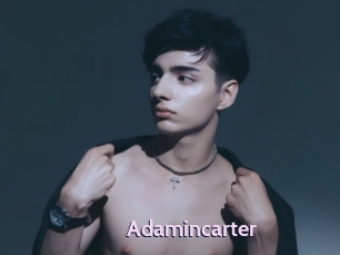adamincarter Gay Zone 24