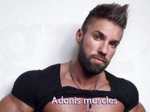 Adonis_muscles
