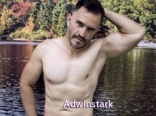 Adwinstark