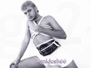Agnidush66