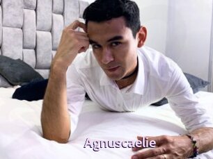 Agnuscaelie