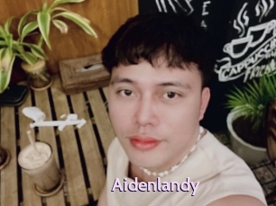 Aidenlandy
