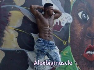 Alexbigmuscle