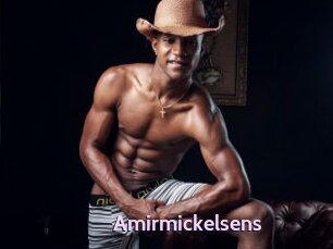 Amirmickelsens