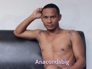 Anacondabig