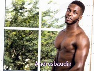 Andresbaudin