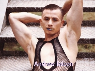 Andrew_falcon