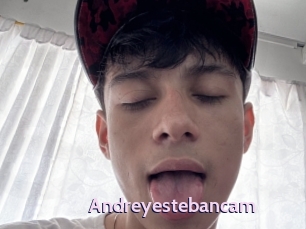 Andreyestebancam