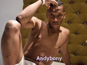 Andybony