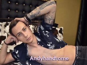 Andyhandsome