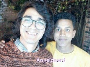 Angeldnerd