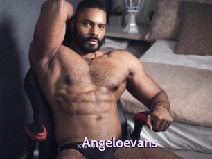 Angeloevans