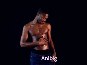 Anibig