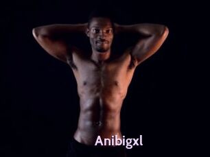 Anibigxl