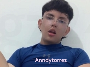 Anndytorrez