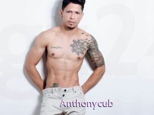 Anthonycub