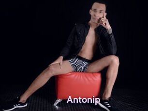 Antonip