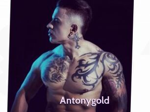 Antonygold