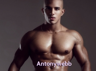 Antonywebb