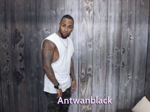 Antwanblack