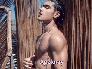 apoloray Gay Zone 24