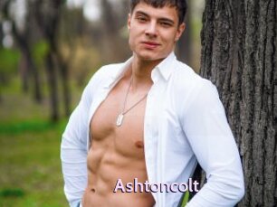 Ashtoncolt