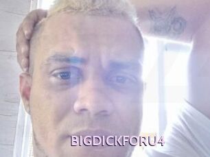 BIGDICKFORU4