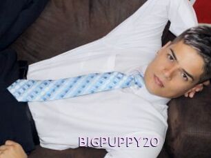 BIGPUPPY20